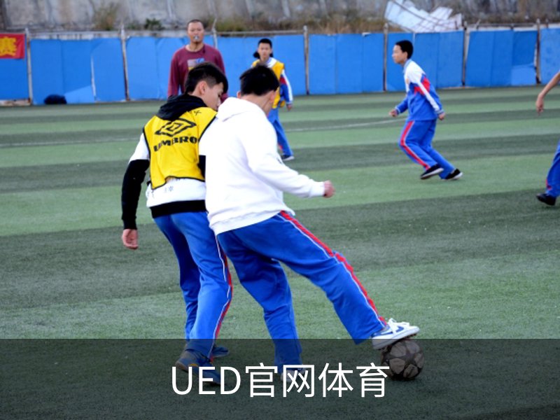 UED官网体育概况